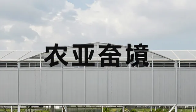 内容呈现误区：为何高颜值设计反而影响用户阅读